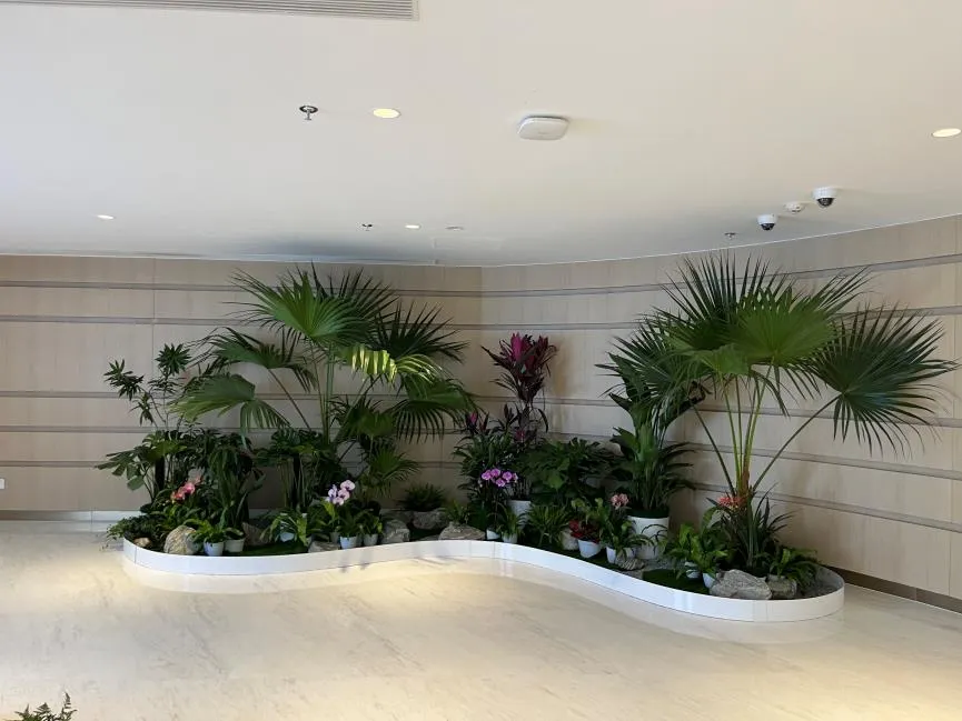 惊！宁波慈溪花木租摆，实惠价美到爆！